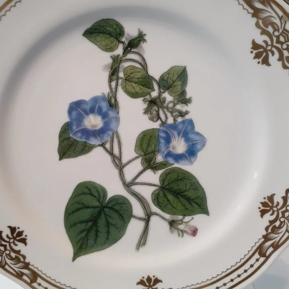 Andrea by Sadek, Golden Botanical by Robert Sweet 1824 London Plate 10 1/2"- - Picture 8 of 8